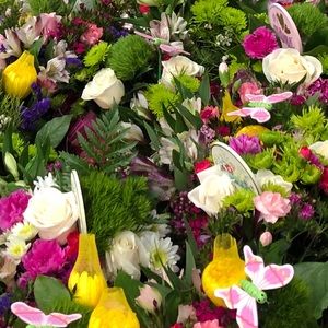 Meet your Posher, Alana